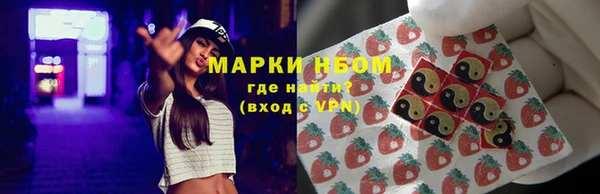 стафф Ладушкин