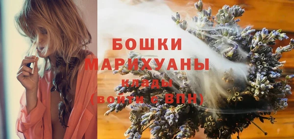 стафф Ладушкин